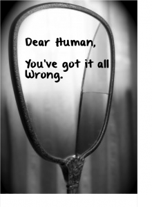 Dear Human