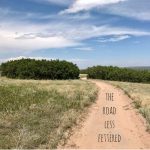 the road less fettered (#15)